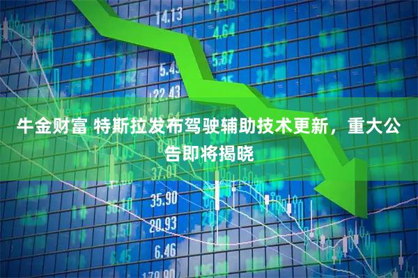 牛金财富 特斯拉发布驾驶辅助技术更新，重大公告即将揭晓