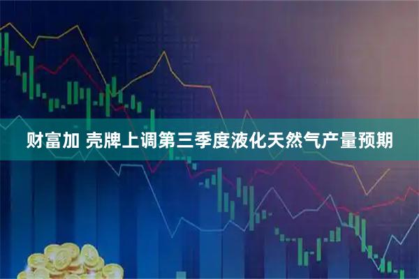 财富加 壳牌上调第三季度液化天然气产量预期
