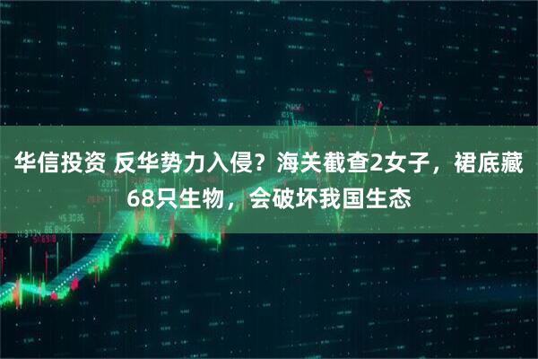 华信投资 反华势力入侵?海关截查2女子,裙底藏68只生物,会破坏我国生态