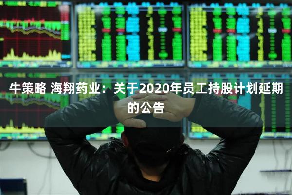牛策略 海翔药业：关于2020年员工持股计划延期的公告