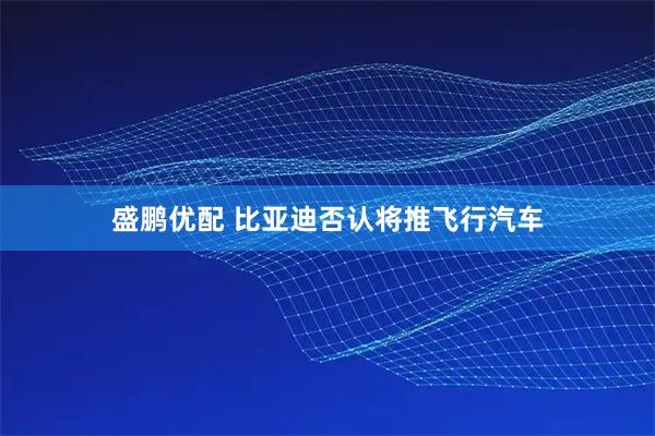 盛鹏优配 比亚迪否认将推飞行汽车